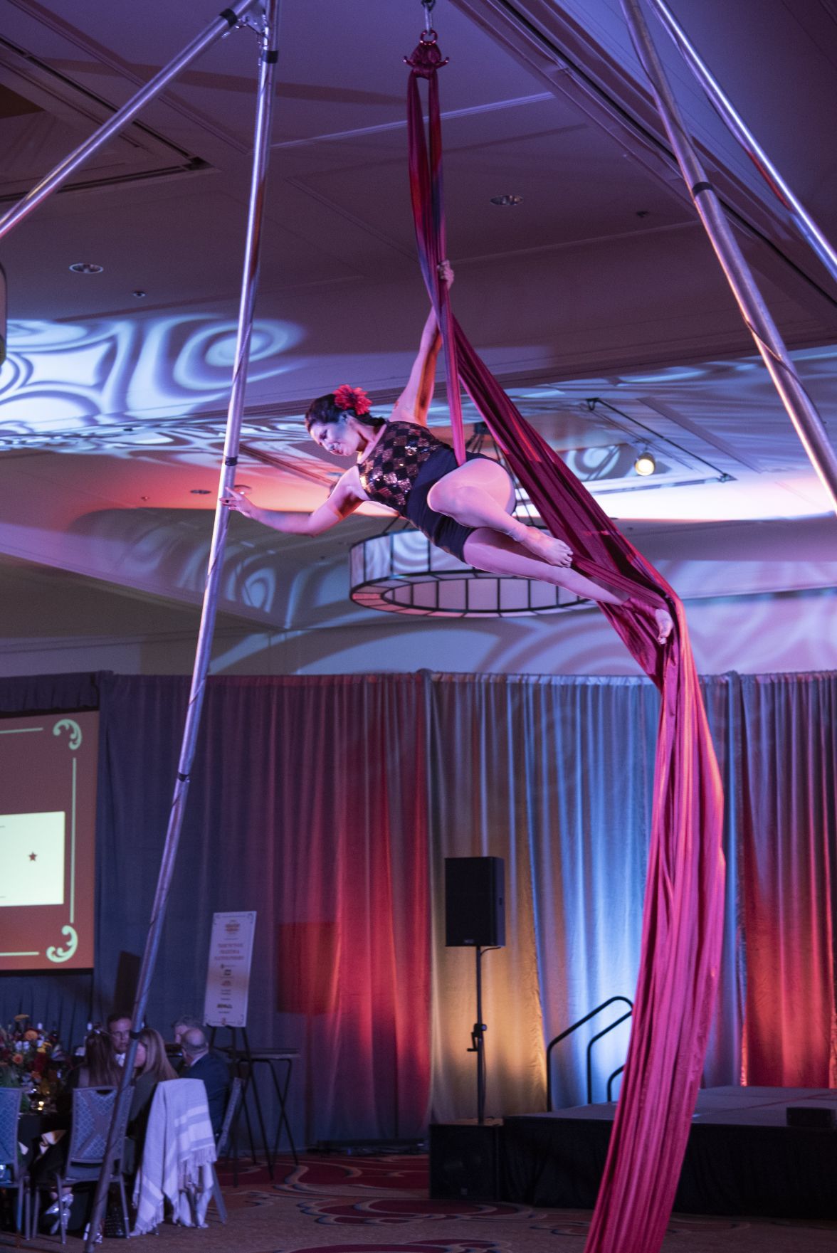 Krista Hines, performer Circus Kaput
